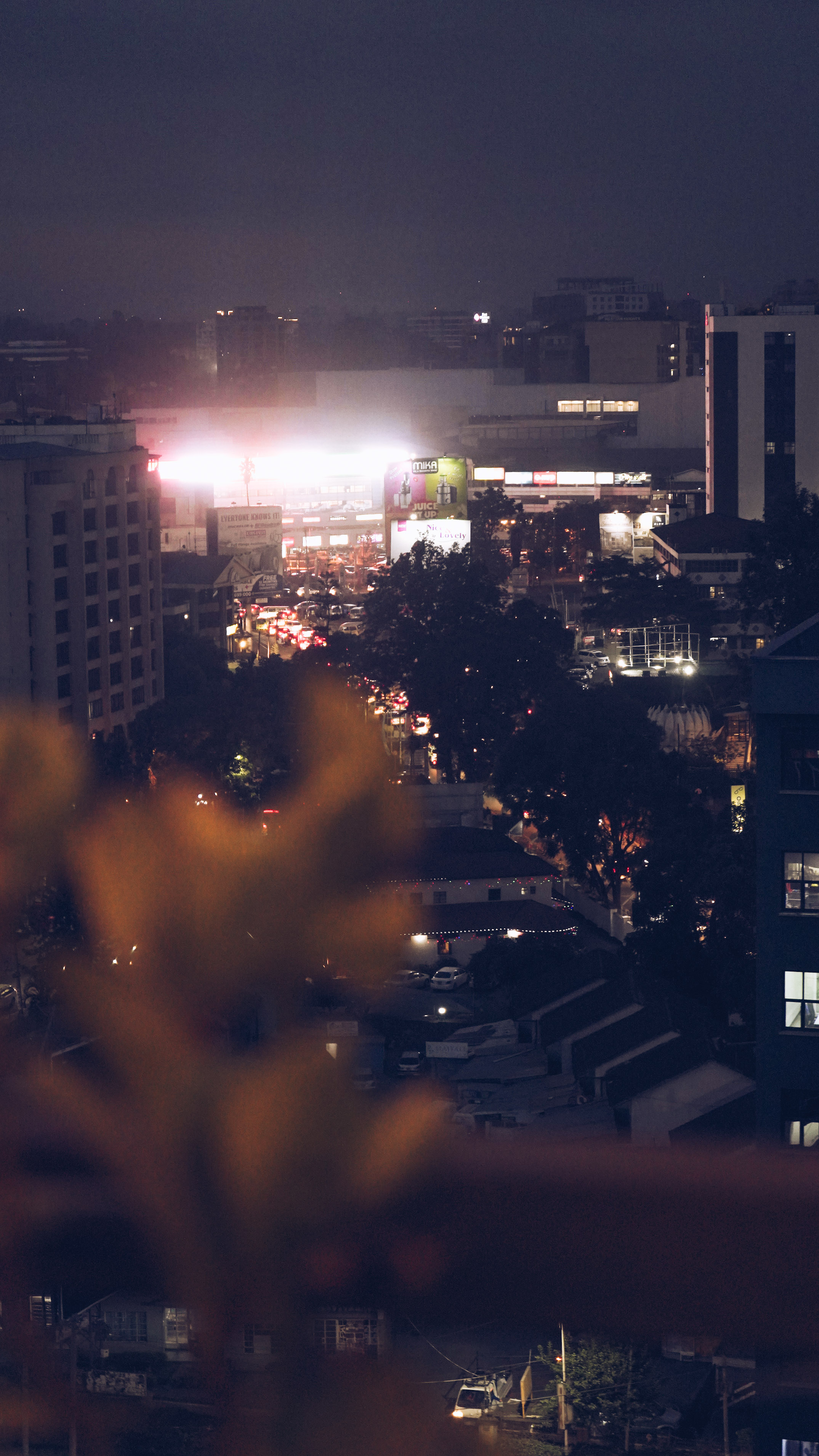 vertical panoramic photo of Nairobi featuring a blurred plant in the foreground, traffic on the street in the middle and illuminated building in the background
